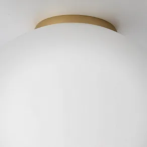 Накладной светильник Citilux RON CL941D25B2