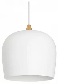 Подвесной светильник Arlight PEONY 39548