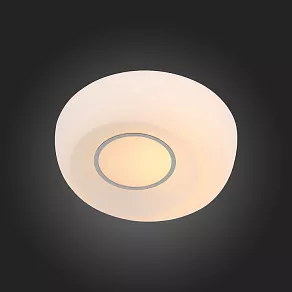 Накладной светильник ST-Luce Botone SL467.502.01