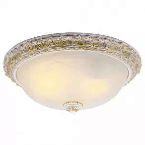 Накладной светильник Arte Lamp Torta A7122PL-2WG