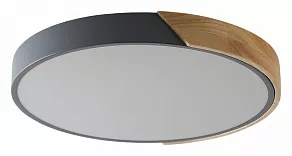 Накладной светильник Zortes ALBERRO ZRS.01280.72
