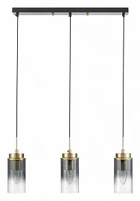 Подвесной светильник Lumion Isha 8101/3A