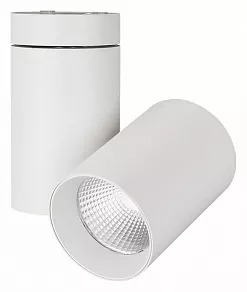 Светильник на штанге Arlight POLO 022631(1)