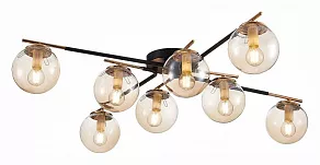 Потолочная люстра EVOLUCE Literno SLE106902-08