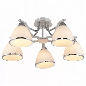 Потолочная люстра TopLight Sheena TL3670X-05RY