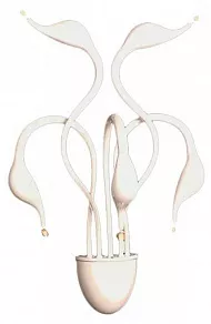 Бра LUMINA DECO Magica LDW 6028-5 WT