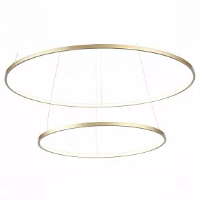Подвесной светильник ST-Luce Erto SL904.203.02