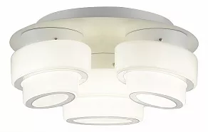 Накладной светильник ST-Luce Ovale SL546.502.03