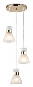 Подвесной светильник Ambrella Light TR TR3402