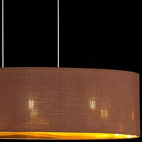 Подвесной светильник EVOLUCE Brescia SLE300553-03