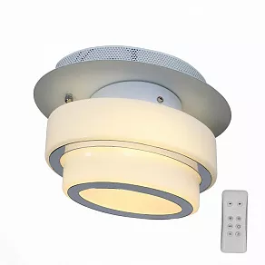 Накладной светильник ST-Luce Ovale SL546.501.01