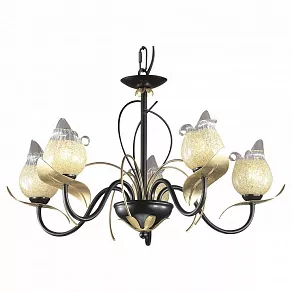 Подвесная люстра Odeon Light Anaba 2691/5