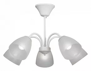 Люстра на штанге Vitaluce V3754 V3754/5PL