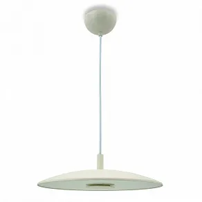 Подвесной светильник LIGHTERA Thale LE123L-30W