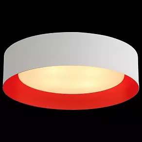 Накладной светильник ST-Luce Chio SL392.562.04