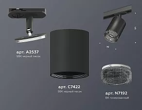 Светильник на штанге Ambrella XT XT7422010