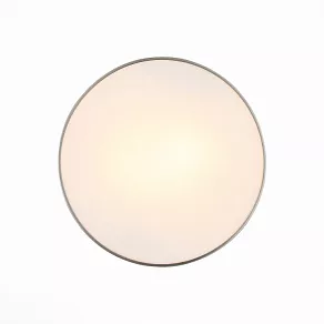 Накладной светильник ST-Luce Bagno SL468.502.02