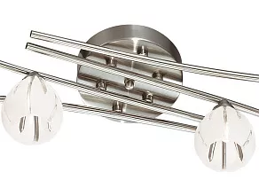 Потолочная люстра Odeon Light Kinston 2465/6C