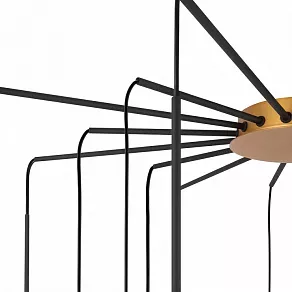 Потолочная люстра Maytoni Branch MOD176PL-16G