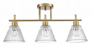 Светильник на штанге Lumion Vivian 8188/3C