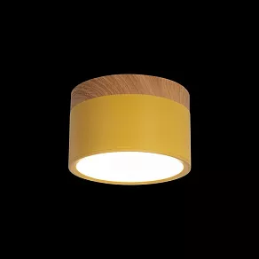 Накладной светильник Loft it Grape 10162 Yellow