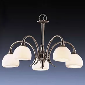 Подвесная люстра Odeon Light Adriana 1602/5