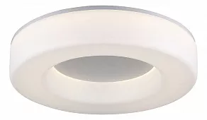 Накладной светильник ST-Luce Lordin SL886.502.01