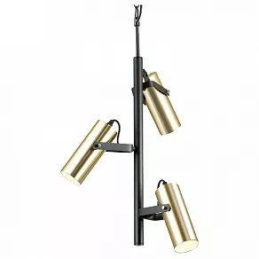 Подвесная люстра Lumion Claire 3714/3A