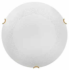 Накладной светильник Sonex Ammonite 7602/BL