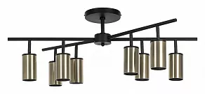 Люстра на штанге Lightstar Rullo LR728318