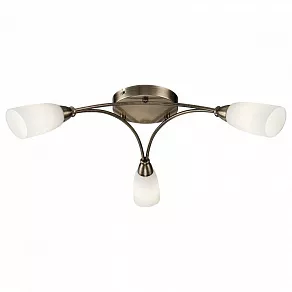 Накладной светильник Freya Alice FR5021CL-03BZ