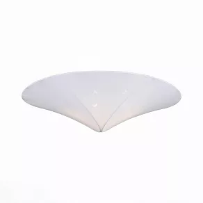 Накладной светильник ST-Luce Tonico SL360.552.02