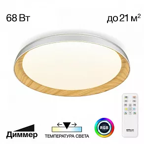 Накладной светильник Citilux MEGA CL752452G