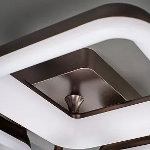 Потолочная люстра Citilux Паркер CL225245R