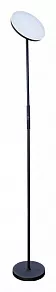 Торшер Arte Lamp Sceptrum A1822PN-1BK