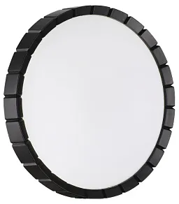 Накладной светильник Sonex PALE 7646/CLN