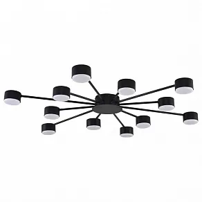 Потолочная люстра Lumion TORINA 8344/12C