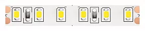 Лента светодиодная Maytoni Led strip 10147