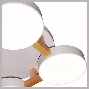 Накладной светильник Natali Kovaltseva 2132 LED LAMPS 81325