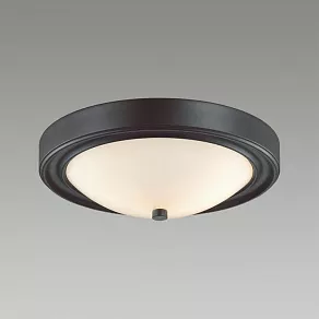 Накладной светильник Lumion Nina 5260/2C