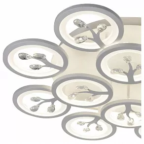 Потолочная люстра F-promo Ramus 2390-12U
