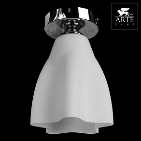 Накладной светильник Arte Lamp Canzone A3469PL-1CC