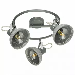 Спот Globo Daisy 54658-3