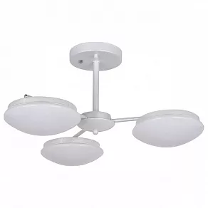 Люстра на штанге F-promo Ledante 2475-3P