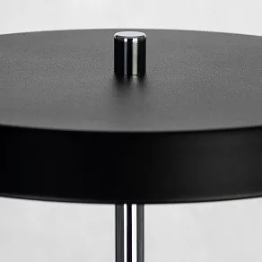 Настольная лампа декоративная Citilux LINA CL812011