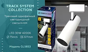 Светильник на штанге Ambrella GL GL5853