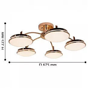 Потолочная люстра F-promo Ledante 2473-5P