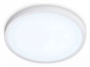 Накладной светильник Ambrella Light FZ FZ1951