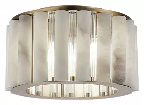 Накладной светильник ST-Luce Delight SL1516.302.06