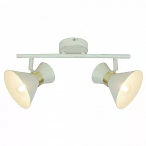 Спот Arte Lamp Baltimore A1406AP-2WG